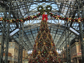 IMG_3321.JPG