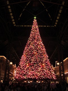 IMG_3463.JPG